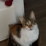 Lucy