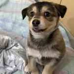 Kasper